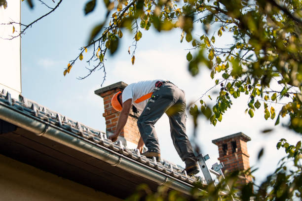 Best Flat Roof Repair Services  in Coldstream, OH