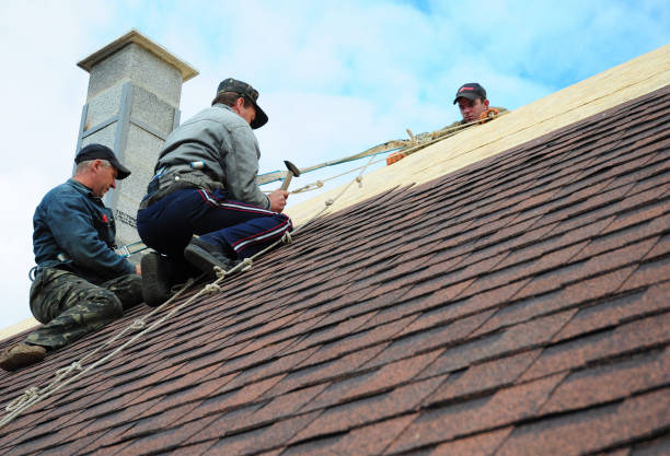 Best Commercial Roof Installation  in Coldstream, OH